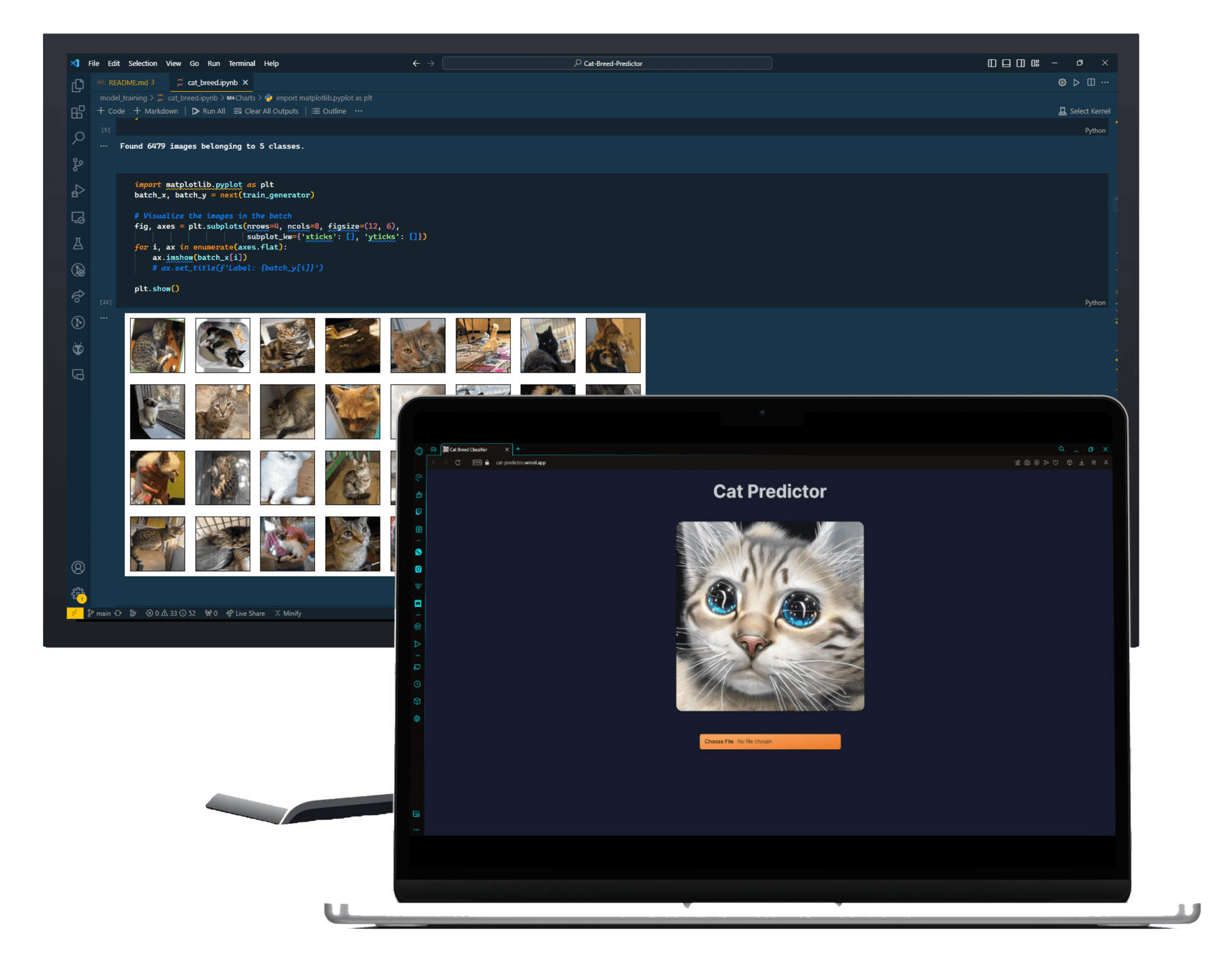 Cat Breed Predictor (CNN) & Website